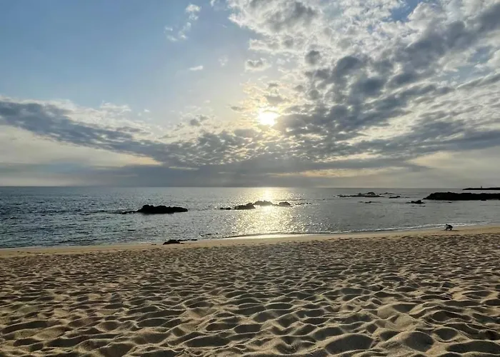 펜션 Blue House- Am Von Do Conde, Porto 빌다도콘데